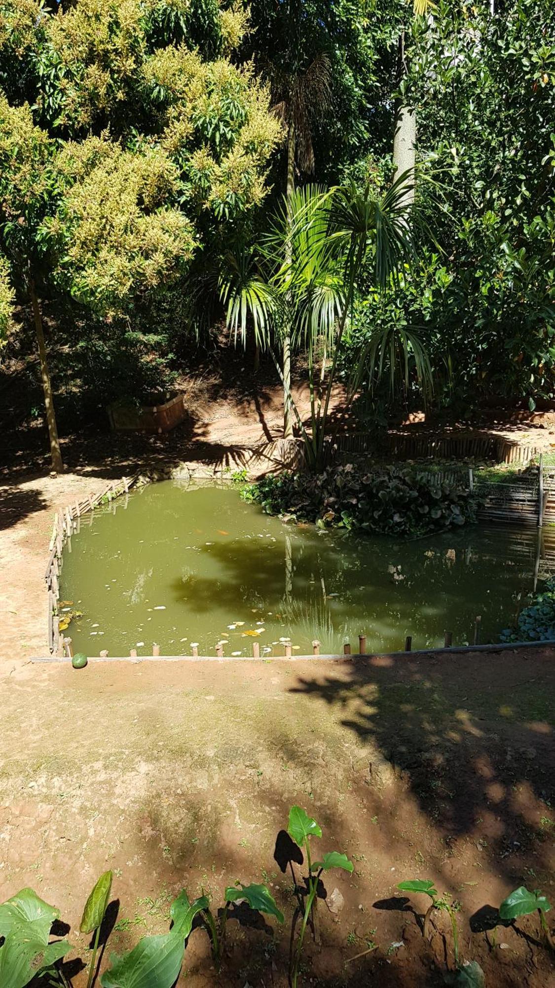 Chales Magia Das Aguas Águas de Lindóia المظهر الخارجي الصورة